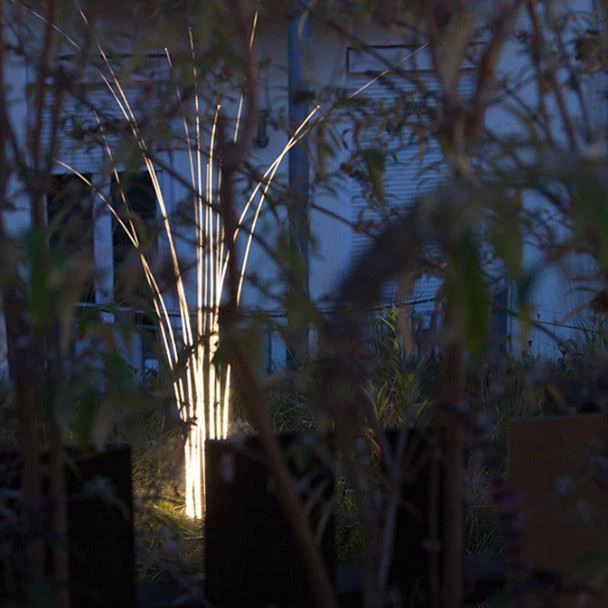 Reed Sea grass light