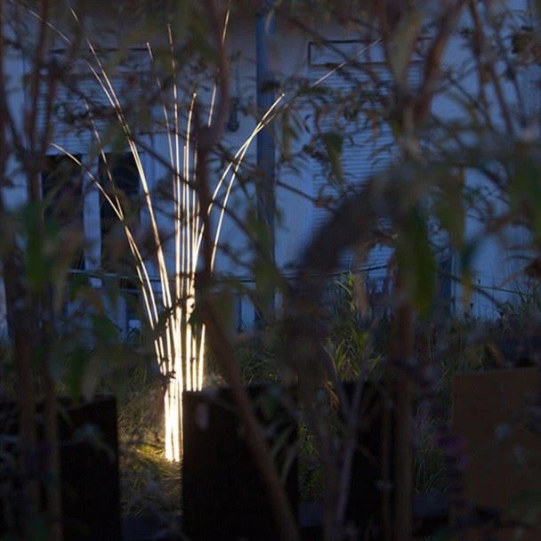 Reed Sea grass light